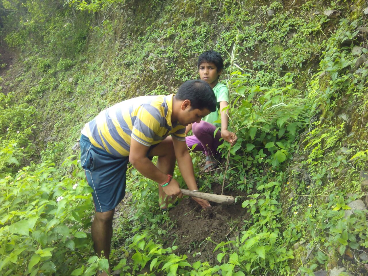  A STEP TOWARDS HEALING PLANET EARTH BY TEAM SAMOON
